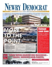 newrydemocrat